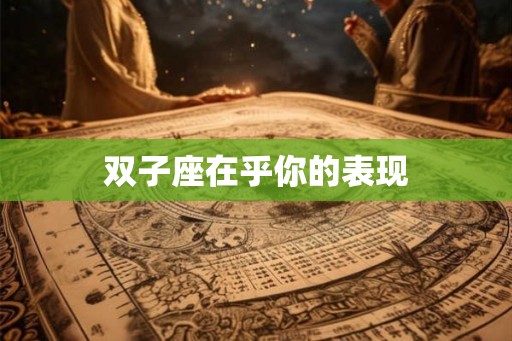 双子座在乎你的表现