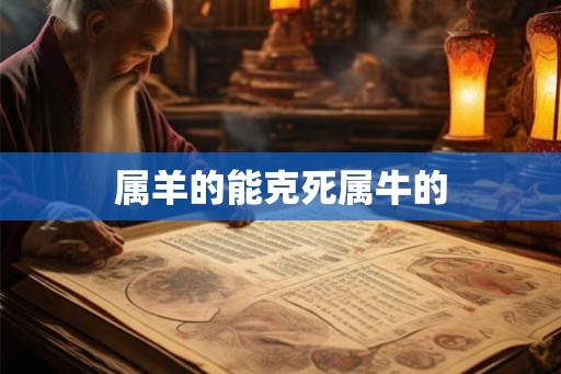 属羊的能克死属牛的