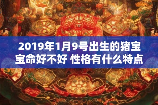 2019年1月9号出生的猪宝宝命好不好 性格有什么特点