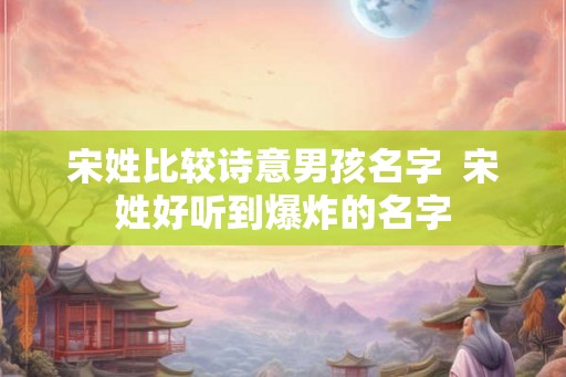 宋姓比较诗意男孩名字  宋姓好听到爆炸的名字