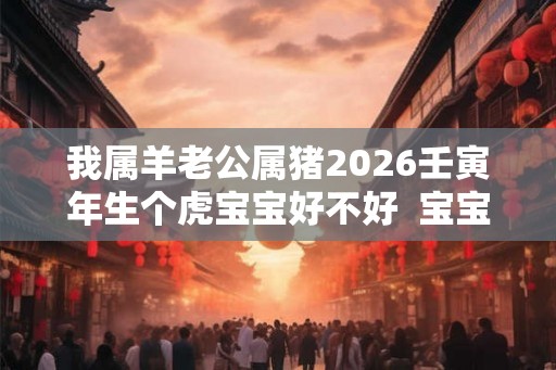 我属羊老公属猪2026壬寅年生个虎宝宝好不好  宝宝命运怎么样