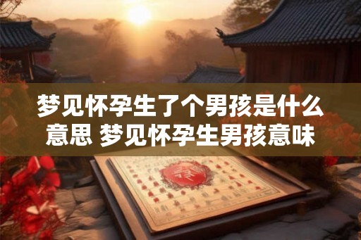 梦见怀孕生了个男孩是什么意思 梦见怀孕生男孩意味着什么