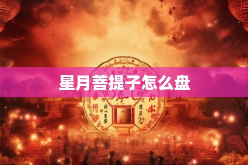 星月菩提子怎么盘