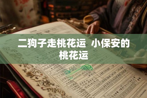 二狗子走桃花运  小保安的桃花运