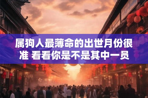 属狗人最薄命的出世月份很准 看看你是不是其中一员 属狗人最薄命的出世月份很准 看看你是不是其中一员