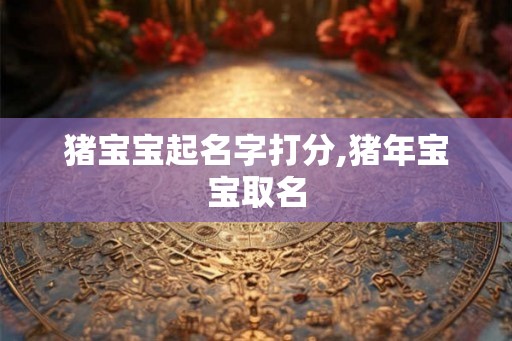 猪宝宝起名字打分,猪年宝宝取名