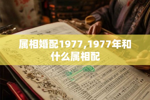属相婚配1977,1977年和什么属相配