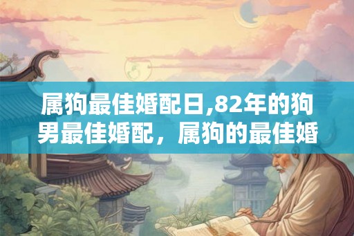 属狗最佳婚配日,82年的狗男最佳婚配，属狗的最佳婚配