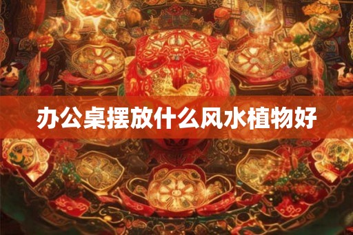 办公桌摆放什么风水植物好