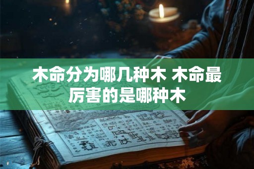 木命分为哪几种木 木命最厉害的是哪种木