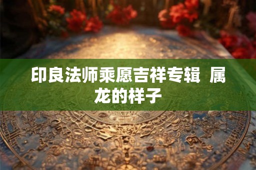印良法师乘愿吉祥专辑  属龙的样子