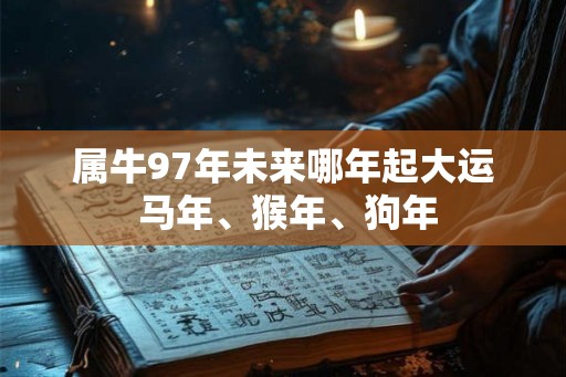 属牛97年未来哪年起大运 马年、猴年、狗年