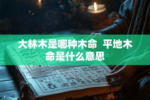 大林木是哪种木命  平地木命是什么意思
