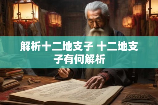 解析十二地支子 十二地支子有何解析