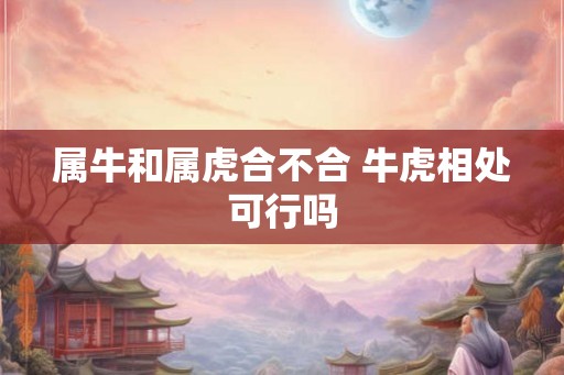 属牛和属虎合不合 牛虎相处可行吗