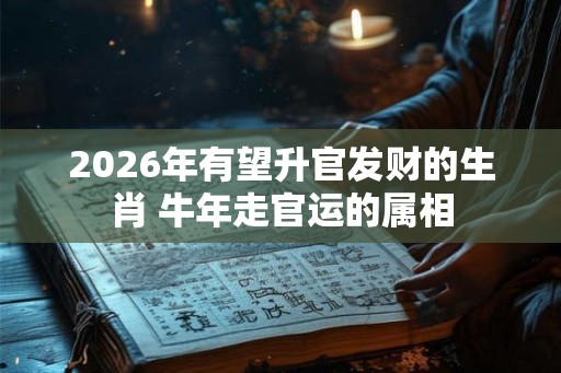 2026年有望升官发财的生肖 牛年走官运的属相