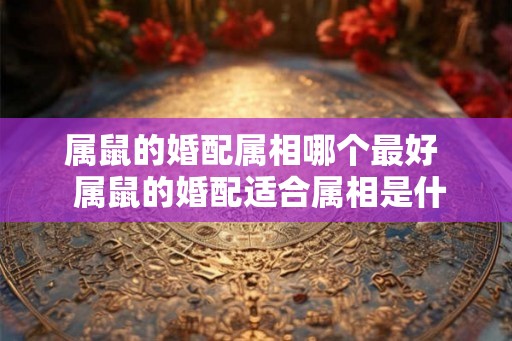 属鼠的婚配属相哪个最好  属鼠的婚配适合属相是什么