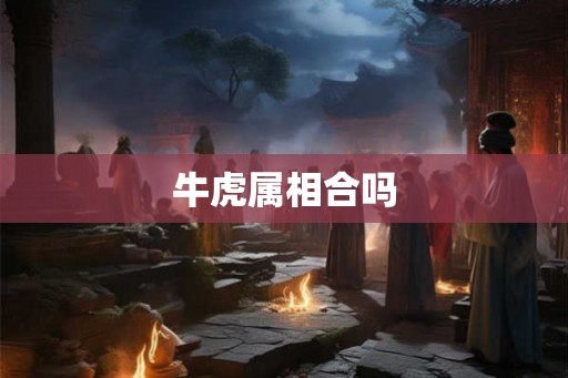 牛虎属相合吗