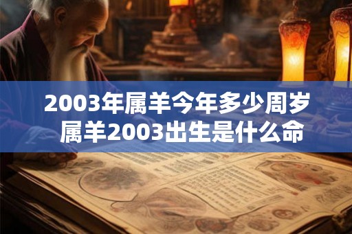 2003年属羊今年多少周岁  属羊2003出生是什么命