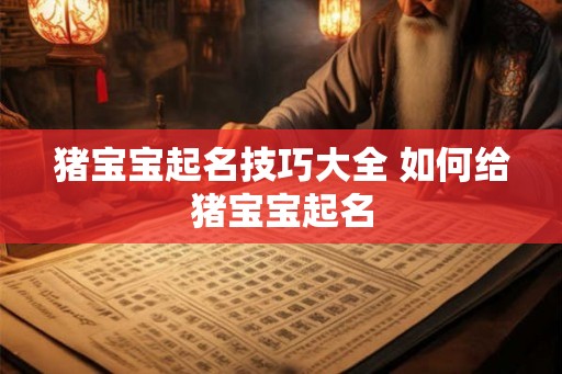 猪宝宝起名技巧大全 如何给猪宝宝起名 猪宝宝起名技巧大全 如何给猪宝宝起名