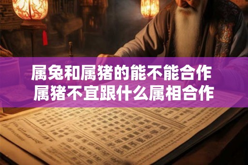 属兔和属猪的能不能合作 属猪不宜跟什么属相合作