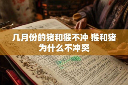 几月份的猪和猴不冲 猴和猪为什么不冲突