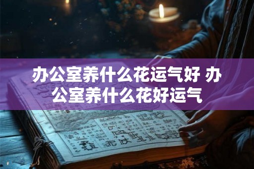 办公室养什么花运气好 办公室养什么花好运气