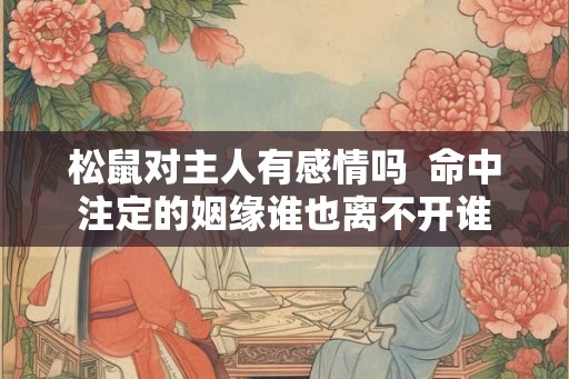 松鼠对主人有感情吗  命中注定的姻缘谁也离不开谁