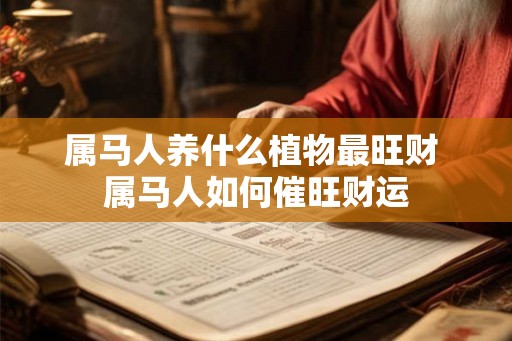 属马人养什么植物最旺财 属马人如何催旺财运