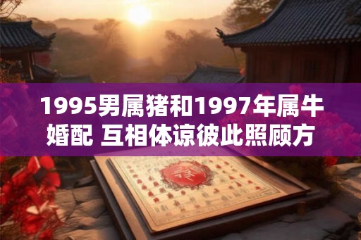 1995男属猪和1997年属牛婚配 互相体谅彼此照顾方可安定