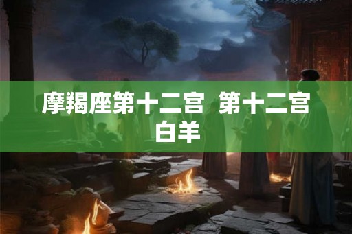 摩羯座第十二宫  第十二宫白羊