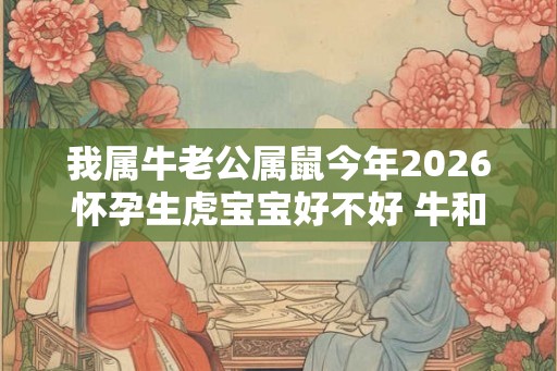 我属牛老公属鼠今年2026怀孕生虎宝宝好不好 牛和虎相冲吗