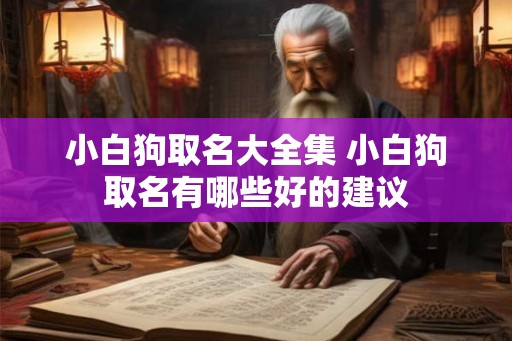小白狗取名大全集 小白狗取名有哪些好的建议