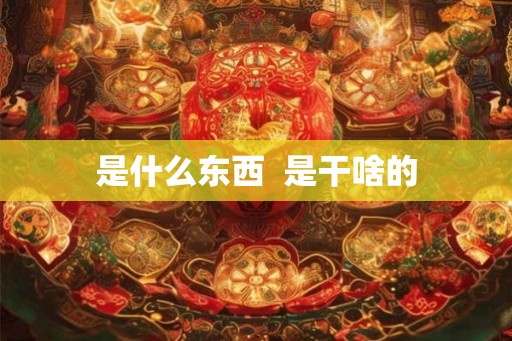 是什么东西  是干啥的