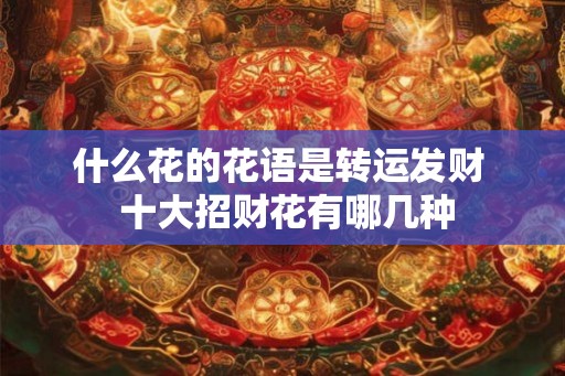什么花的花语是转运发财 十大招财花有哪几种 什么花的花语是转运发财 十大招财花有哪几种