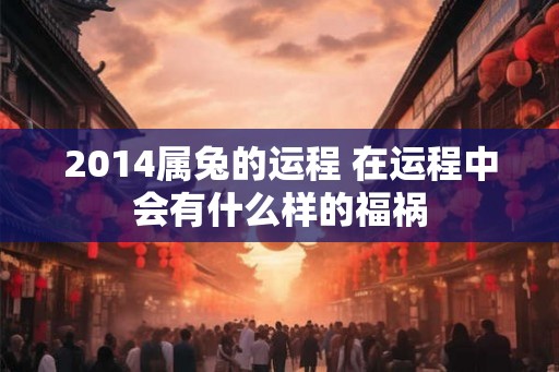 2014属兔的运程 在运程中会有什么样的福祸