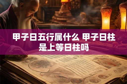 甲子日五行属什么 甲子日柱是上等日柱吗