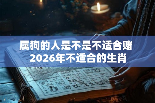 属狗的人是不是不适合赌 2026年不适合的生肖 属狗的人是不是不适合赌 2026年不适合的生肖