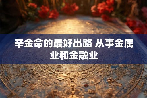 辛金命的最好出路 从事金属业和金融业