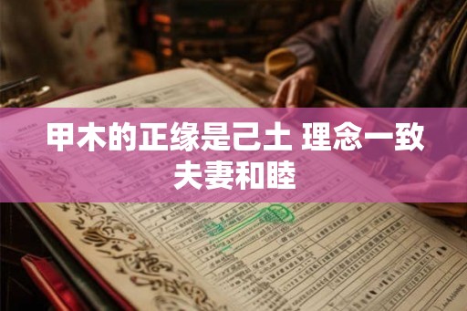 甲木的正缘是己土 理念一致夫妻和睦 甲木的正缘是己土 理念一致夫妻和睦