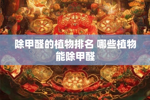 除甲醛的植物排名 哪些植物能除甲醛