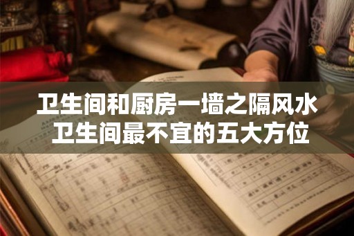 卫生间和厨房一墙之隔风水 卫生间最不宜的五大方位
