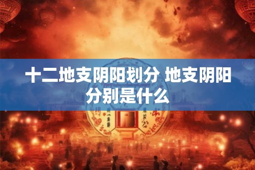 十二地支阴阳划分 地支阴阳分别是什么