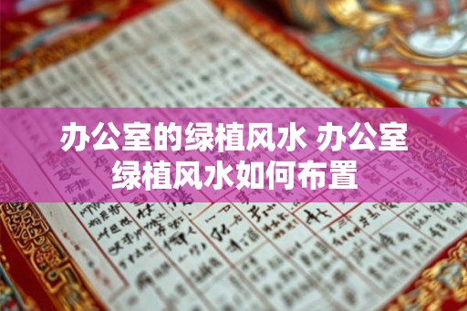 办公室的绿植风水 办公室绿植风水如何布置