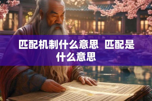 匹配机制什么意思 匹配是什么意思 匹配机制什么意思 匹配是什么意思