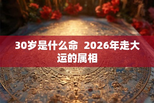 30岁是什么命  2026年走大运的属相