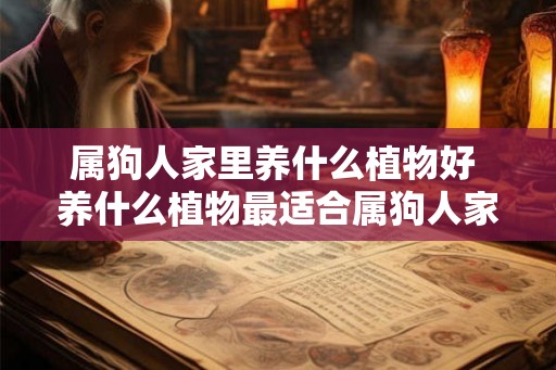 属狗人家里养什么植物好 养什么植物最适合属狗人家 属狗人家里养什么植物好 养什么植物最适合属狗人家