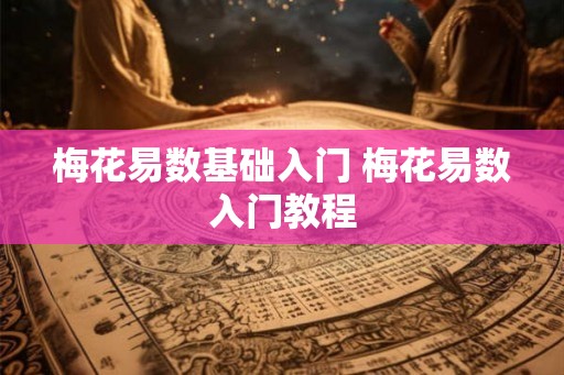 梅花易数基础入门 梅花易数入门教程
