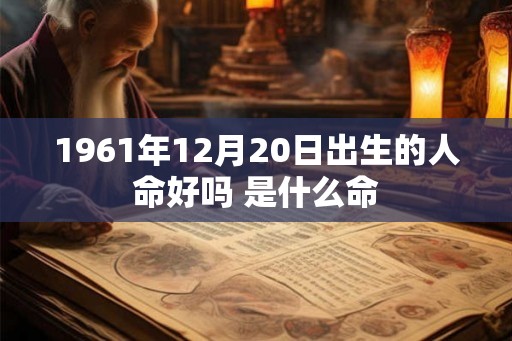 1961年12月20日出生的人命好吗 是什么命