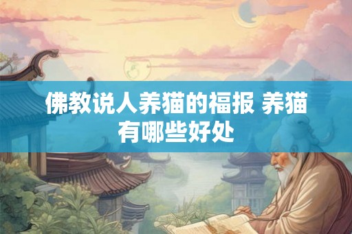 佛教说人养猫的福报 养猫有哪些好处